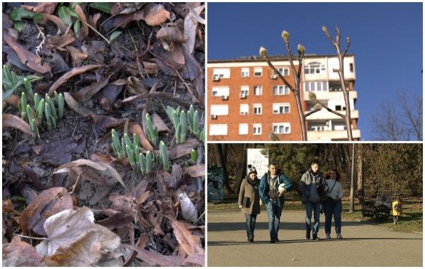 Cel mai călduros an din istorie a derutat natura: În vestul ţării au înflorit ghioceii, în timp ce în Capitală, au revenit berzele: "E pentru prima oară când văd"