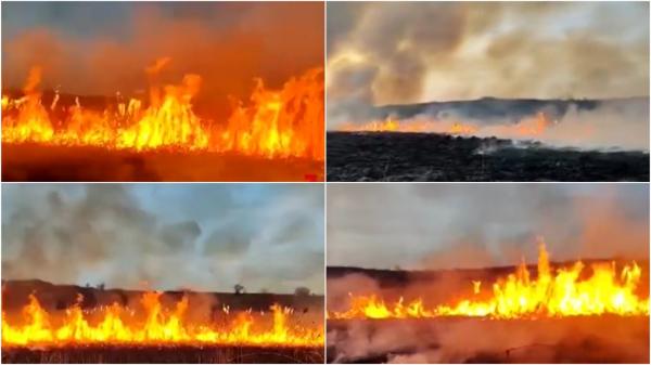 Cinci hectare de vegetație s-au făcut scrum, după o țigară aruncată la întâmplare. Misiune dificilă pentru pompierii din Giurgiu