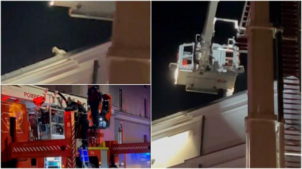 Misiune de salvare inedită. Pompierii, chemaţi să salveze o pisică de pe acoperişul Teatrului din Botoșani