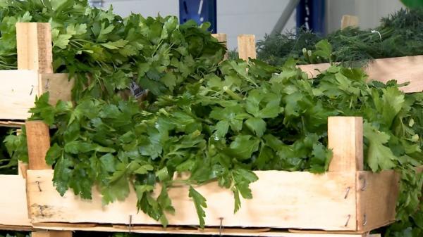 Pătrunjelul, în topul celui mai comandat produs online în 2023. Una din patru comenzi la domiciliu a conţinut o legătură de verdeţuri