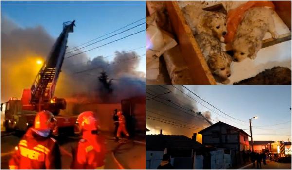 "Mi-am salvat actele şi ce am putut". Incendiu violent la două case din Palazu Mare. Vâlvătaia ar fi pornit de la un coş de fum necurăţat corespunzător