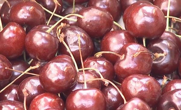 Cât costă acum 1 kg de cireşe în piaţă. Comercianţii vând şi câte 100 de grame pentru a găsi cumpărători să accepte preţul uriaş