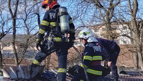 Incendiu la Grădina Zoologică din Râmnicu Vâlcea. Pavilionul în care erau adăpostite maimuţele babuin a luat foc