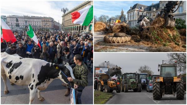 Fermierii din Europa au ajuns la capătul puterilor. Protestele s-au extins în Italia și Grecia: "Banii merg către marile multinaționale"