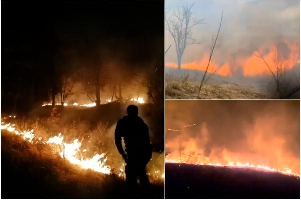 Incendii de vegetaţie dezastruoase în mai multe judeţe. Zeci de hectare de teren s-au făcut praf, în ciuda eforturilor pompierilor