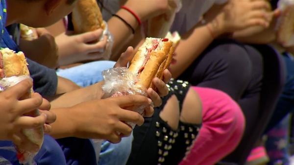 Elevii din peste 1.200 de şcoli vor primi zilnic o masă caldă. Ce ingrediente sunt interzise