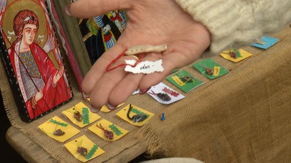 Afacerea cu care unii români au dat lovitura. Câştigă în 2-3 luni cam cât în jumătate de an la un job de birou