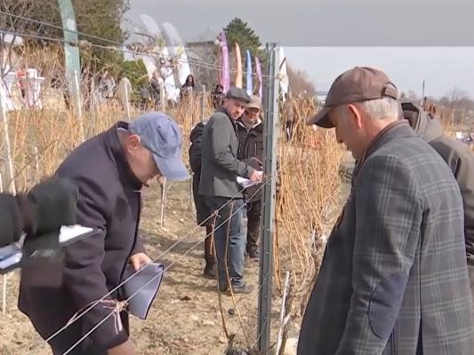 Concurs unic în lume în Buzău. Zeci de concurenți s-au bătut pentru premiul în valoare de 10.000 de euro