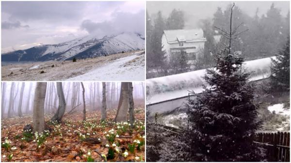 România, lovită de un ciclon care aduce ninsori şi temperaturi de câteva grade. Zonele în care iarna revine în forţă