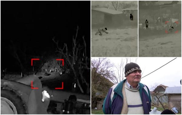 "Sunt speriaţi, nu se mai plimbă nimeni când se întunecă". Cum au terorizat doi pui de urşi un sat din Mureş