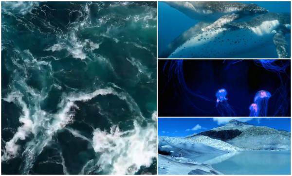 Oceanele lumii sunt mai fierbinți ca niciodată. Un nou avertisment al meteorologilor, după ce temperaturile apelor au atins niveluri record