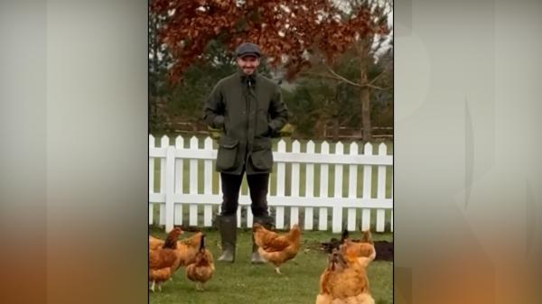 Transformarea lui David Beckham. A lăsat echipamentul sportiv pentru cel de fermier