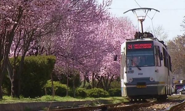 Tramvaiul roz din Capitală, vedetă pe reţelele de socializare. Zeci de bucureşteni se înghesuie zilnic să facă o poză lângă el. În ce cartier circulă