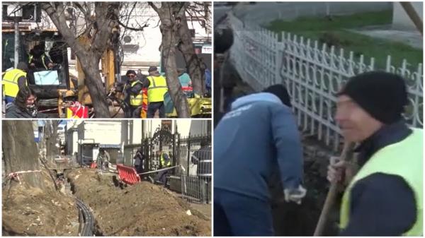 "Dorel" face o nouă gafă. A retezat rădăcinile a zeci de tei vechi de 100 de ani, în timp ce săpa un şanţ, în Galaţi. "Îi spunea taie ăla, ăla, ăla"