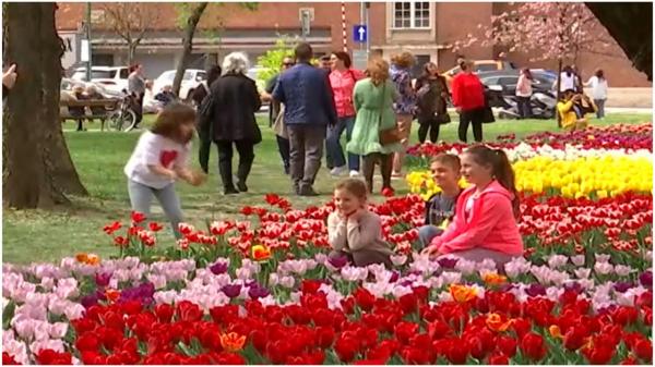 Cea mai călduroasă dimineaţă de 31 martie din istorie. În sud-vestul țării a fost prima noapte tropicală din acest sezon