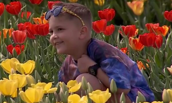 Afacerea splendidă pornită de Gabi şi Camelia după mai multe vizite în Olanda. Unde se află câmpul cu 1 milion de lalele