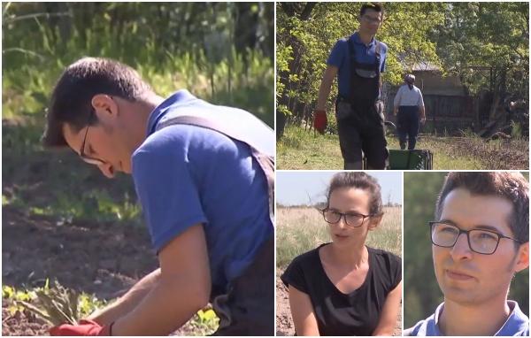 Leguma care se poate vinde şi cu 100 de lei kilogramul. Oana şi Mihai s-au întors în România ca să pună la punct afacerea vieţii lor