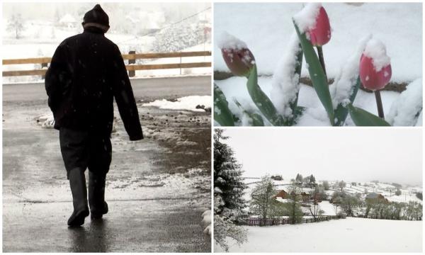 De ce s-a schimbat vremea, de la o zi la alta, în România. Condiţii meteo ca de iarnă, la nici 24 de ore de la temperaturi ca-n plină vară