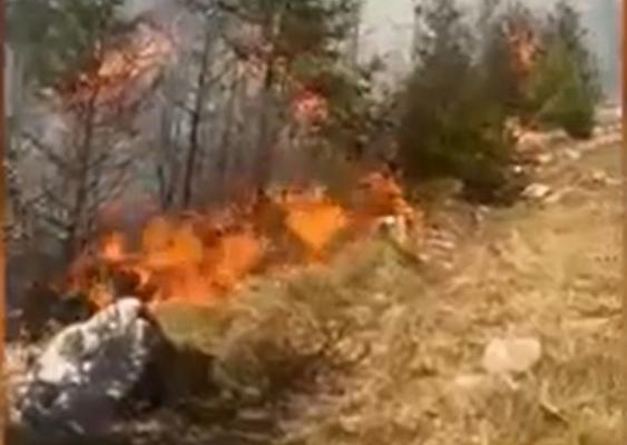 40 de hectare de vegetaţie, făcute scrum de un incendiu devastator. S-a cerut sprijinul Armatei pentru a stinge focul
