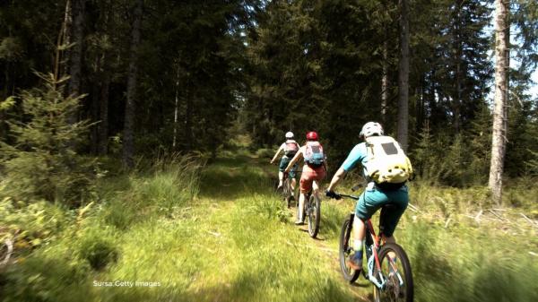 Schimbări în Codul Silvic. Plimbări cu bicicleta prin pădure doar cu acordul proprietarului. Niciun cuvânt despre defrişările ilegale