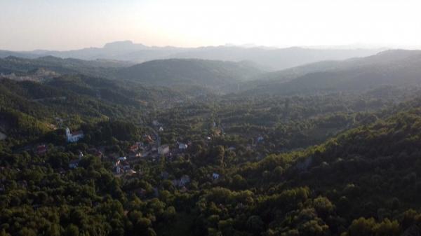 În fiecare oră dispar șase hectare de pădure din România, susţin ONG-urile. Împăduririle promise de stat nu țin pasul cu defrișările