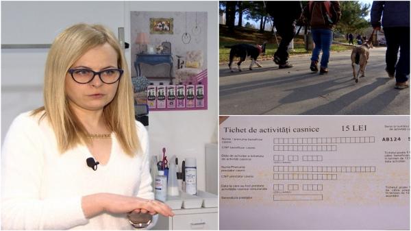 Serviciile pe care le putem plăti legal doar cu tichete. De câte are nevoie un prestator pentru a beneficia de asigurare de sănătate şi pensie
