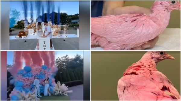 Moda care stârnește revoltă în Marea Britanie. Modul în care viitorii părinți vor să afle sexul copilului, catalogat drept  "un act de cruzime"