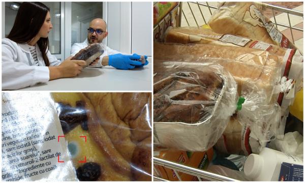 EXPERIMENT. Pască plină de mucegai, drob cu probleme şi cozonac fără lapte. Analizele de laborator au demascat capcanele de pe masa de Paşte