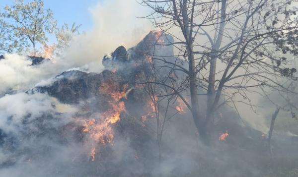 Dezastru în Botoşani, de la scânteia unui flex: 70 de tone de furaje, zece pomi, dar şi un utilaj agricol s-au făcut scrum