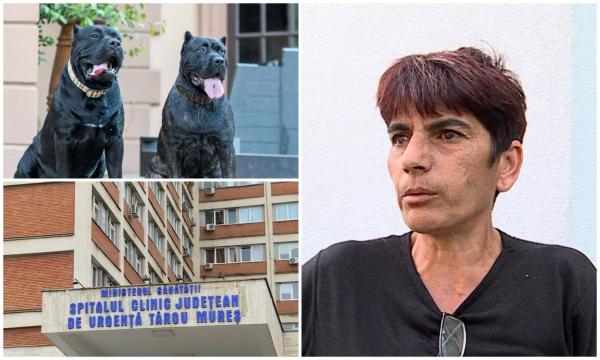 Femeie sfâşiată de câinii de luptă ai şefului său, lângă o sală de evenimente din Mureş. Ducea gunoiul când cei doi Presa Canario s-au năpustit asupra ei