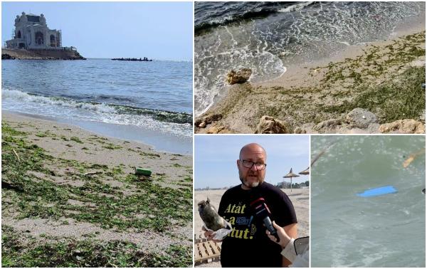 Dezastrul ecologic pe litoral: Marea s-a colorat în negru din cauza poluării cu păcură