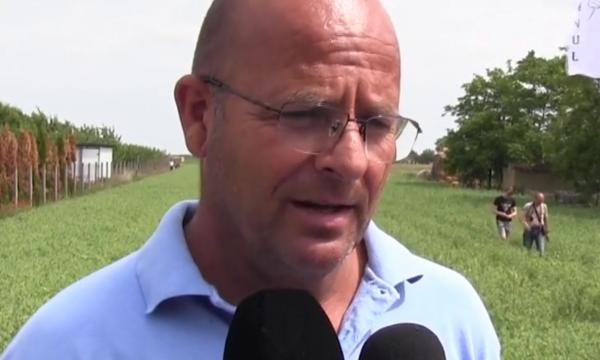 Ideea pe care a mizat Ioan, un producător local din Arad: "autoservire" pe tarla. Clienţii strâng singuri recolta şi se bucură de o experienţă inedită