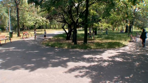 Adolescenta bătută de tatăl unui băieţel de 8 ani, pe care îl pălmuise în parc, a depus plângere. Împotriva bărbatului din Ploieşti nu s-au luat măsuri încă