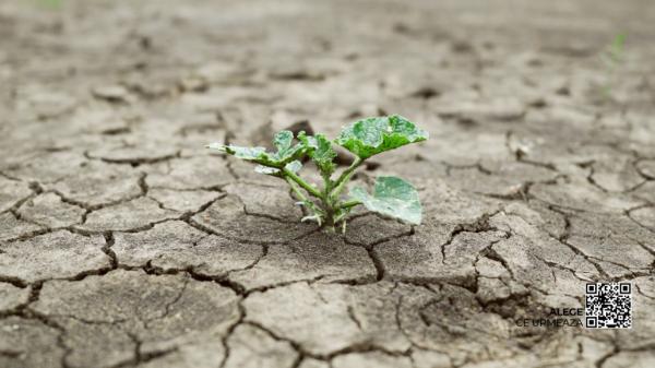 ONU: În vara lui 2024 ne putem aştepta la "un iad climatic". Cum vor fi lunile iulie şi august în România