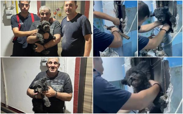 Căţeluş salvat de pompieri, în Hunedoara, după ce a scăpat în gura de vizitare de sub o chiuvetă şi a căzut printre ţevi 2 etaje