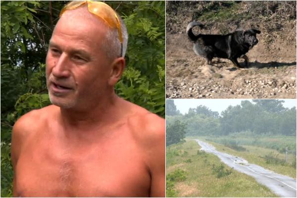 "Nu plec fără pietre". Localnicii din comuna unde o tânără a fost sfâşiată de câini trăiesc cu frică. Alţi oameni au fost atacaţi