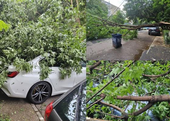 Urmările furtunii de cod roşu din Capitală: Peste 100 de copaci căzuţi şi aproape 100 de maşini distruse. Pompierii au avut 500 de intervenţii