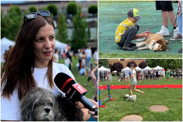 Dragostea pentru câinele ei a făcut-o pe o tânără să dea naştere unui festival de succes. De 12 ani, evenimentul este o tradiţie în Iaşi