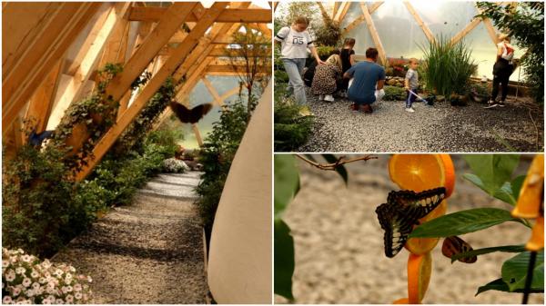 Locul unic din România unde frumuseţea prinde aripi. "Mulţumită vizitatorilor, am mărit afacerea"