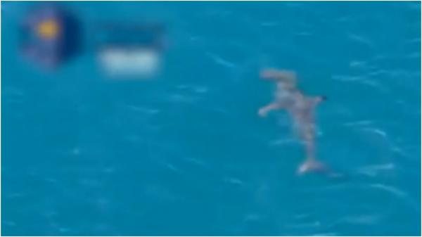 Un rechin de 3 metri şi jumătate de tonă a băgat spaina în litoralul spaniol. Steagul roşu, ancorat pe două plaje