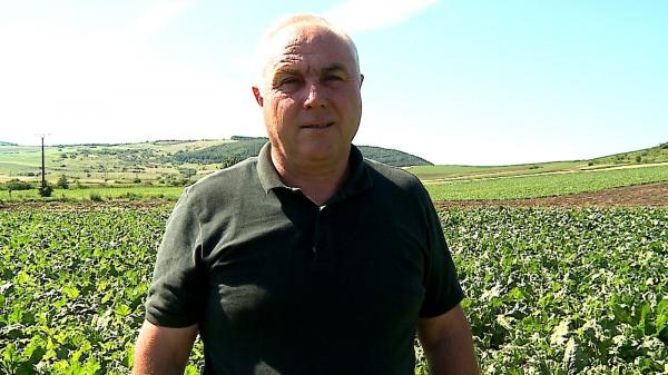 Afacerile româneşti care vor primi până la 1,5 mil. € de la UE. Reacţia unui agricultor: "Sunt nişte preţuri de-ţi vine să o iei la fugă"