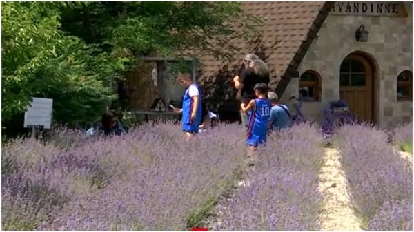 Locul din Gorj care atrage turiștii ca un magnet. Atracția desprinsă din povești oferă o experiență inedită vizitatorilor