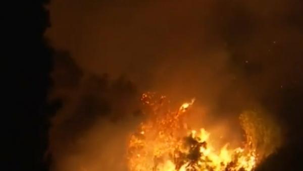 Căldura infernală aprinde pădurile din Grecia. În Turcia, 14 oameni au murit după ce flăcările au mistuit casele