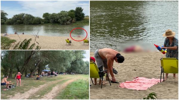 Cadavrul unui bătrân, lăsat să zacă pe malul Timişului, în timp ce oamenii făceau nestingheriţi grătare lângă el. Bărbatul a murit înecat 