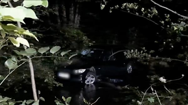 La un pas să-şi piardă viaţa după ce a plonjat cu maşina în râul Săsar. Şoferul a intrat cu viteză într-o curbă şi a pierdut controlul