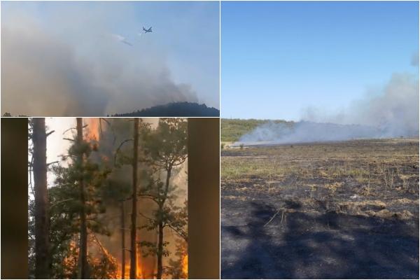 Incendiu la Parcul Naţional Porţile de Fier. 120 de hectare de pădure, distruse de flăcări. Două aeronave Spartan au fost trimise în ajutor