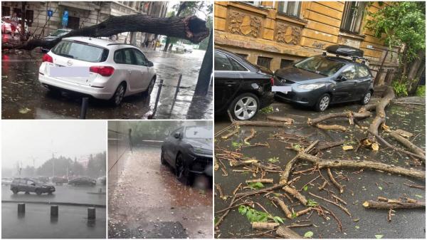 O furtună de câteva minute a făcut prăpăd în Bucureşti. A plouat torenţial, cu grindină: mai mulţi copaci, doborâţi