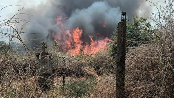 Incendiu puternic în satul Dunăreni din Constanţa. Trei case şi 20 de gospodării au fost înghiţite de flăcări