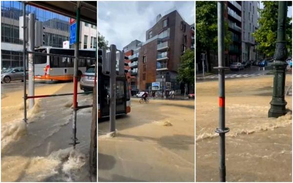 Bebeluş de doar 2 luni, mort în timpul unei furtuni din Belgia după ce o creangă a căzut peste el