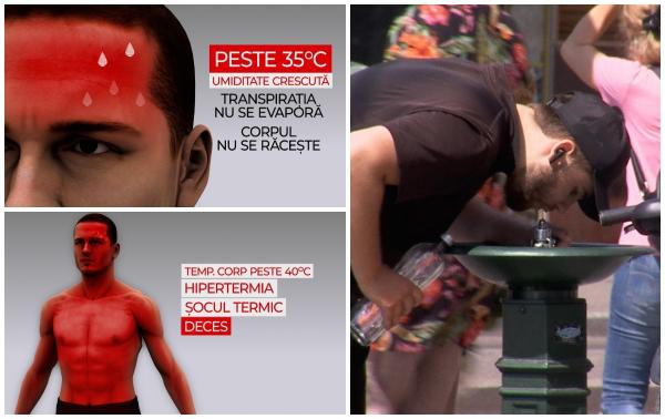 ANIMAŢIE. Schimbările care apar în corp la peste 35 de grade. Temperaturile extreme pot fi mortale